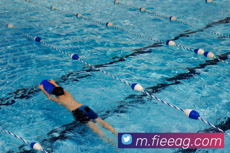 App Interface Preview