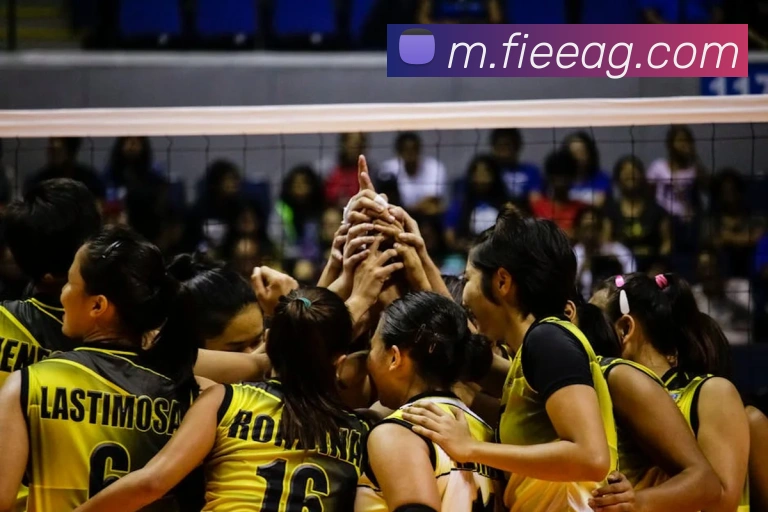 ag官网APP 封面图